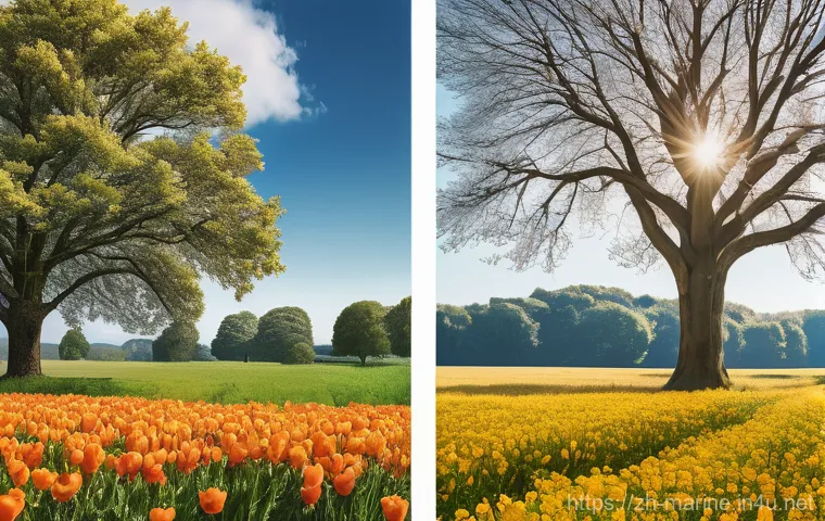 해양에너지 관련 기술 - Here are three detailed image prompts in English, adhering to your guidelines: